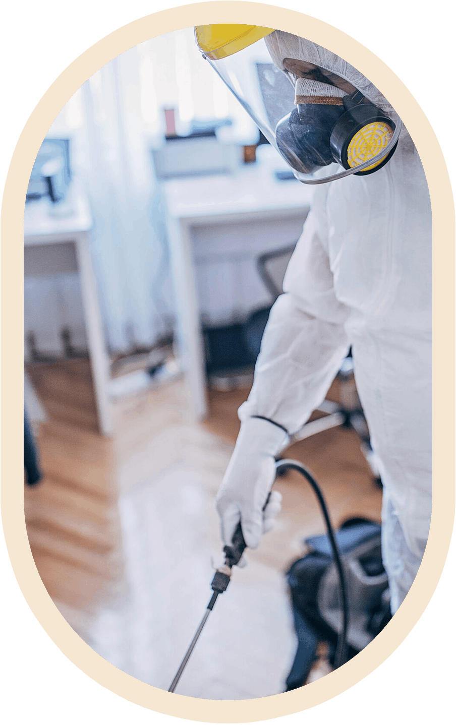 Real Living UAE Disinfection
