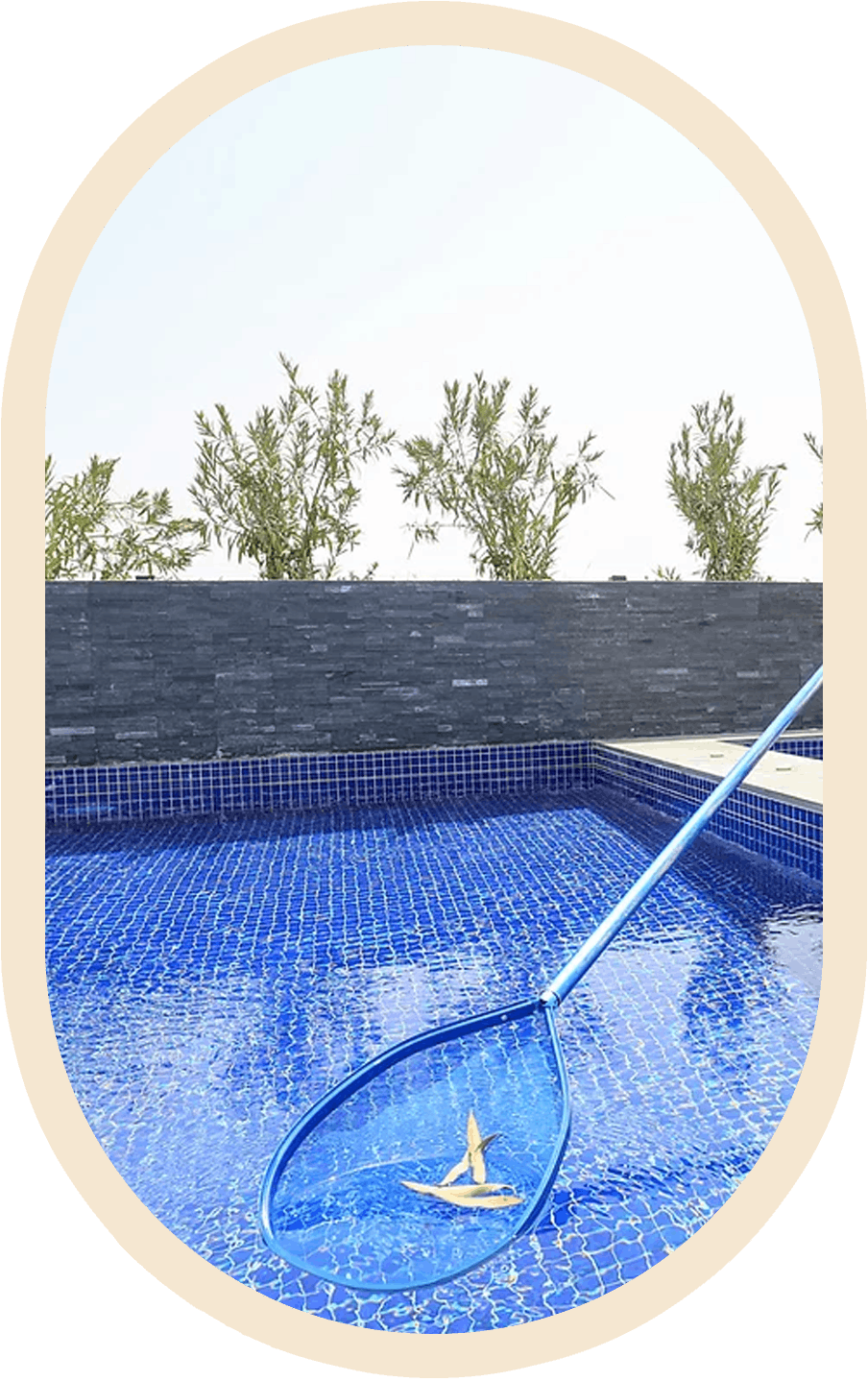 Real Living UAE Pool care